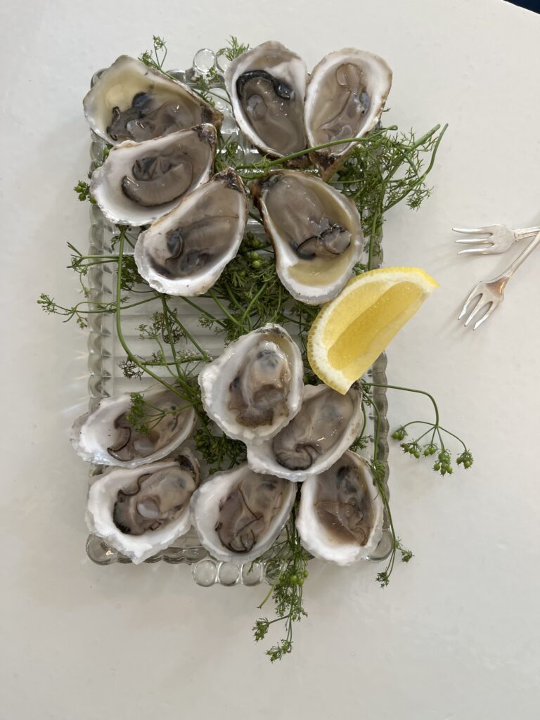 oyster